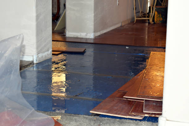 Professional Emergency Water Damage technician working in Norton, MA